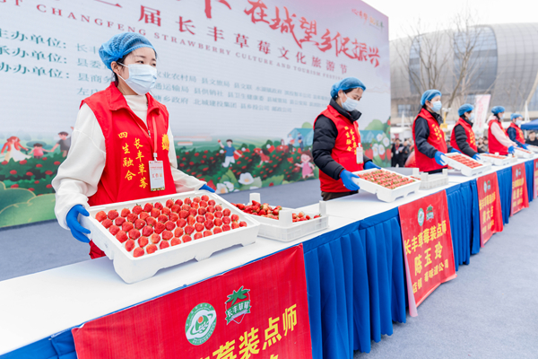 BC贷·(中国区)官方网站